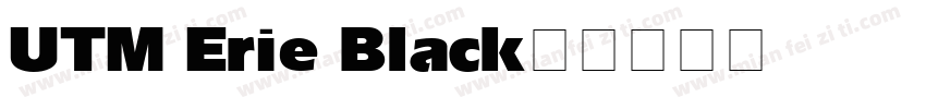 UTM Erie Black字体转换